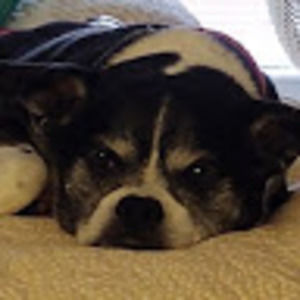 Meet your Posher, Zoe